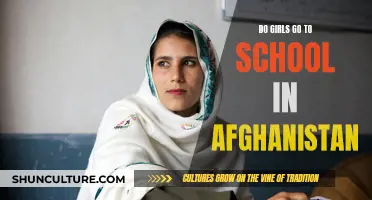 Education's Missing Piece: The Fight for Girls' Education in Afghanistan