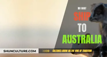 Goat Shipping: Australia's Availability