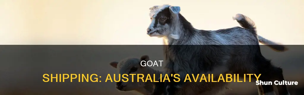 do goat ship to australia