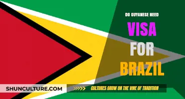 Guyanese Travelers: Visa Requirements for Visiting Brazil Explained