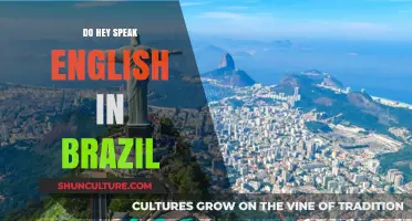 Do They Speak English in Brazil? Language Insights for Travelers