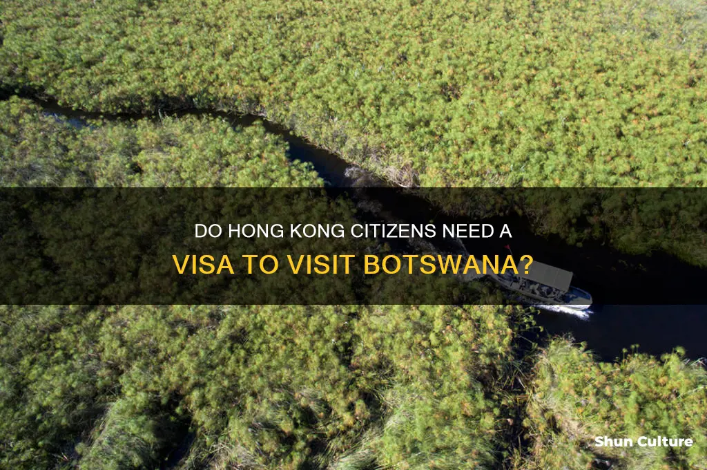 do hong kong citizen need visa to botswana