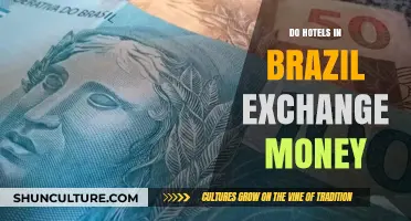 Do Brazilian Hotels Exchange Money? A Traveler's Currency Guide