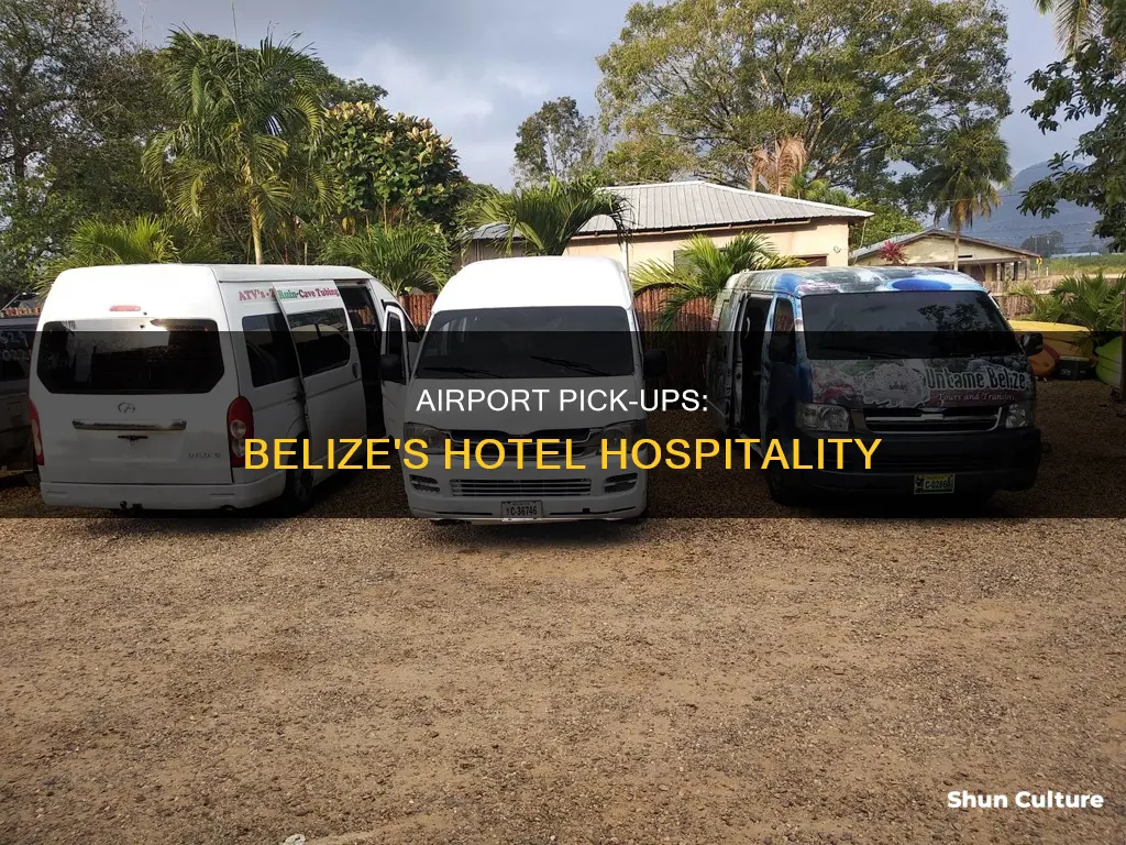 do hotels pick you up from airport in belize