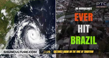 Do Hurricanes Hit Brazil? Exploring Tropical Storms in South America