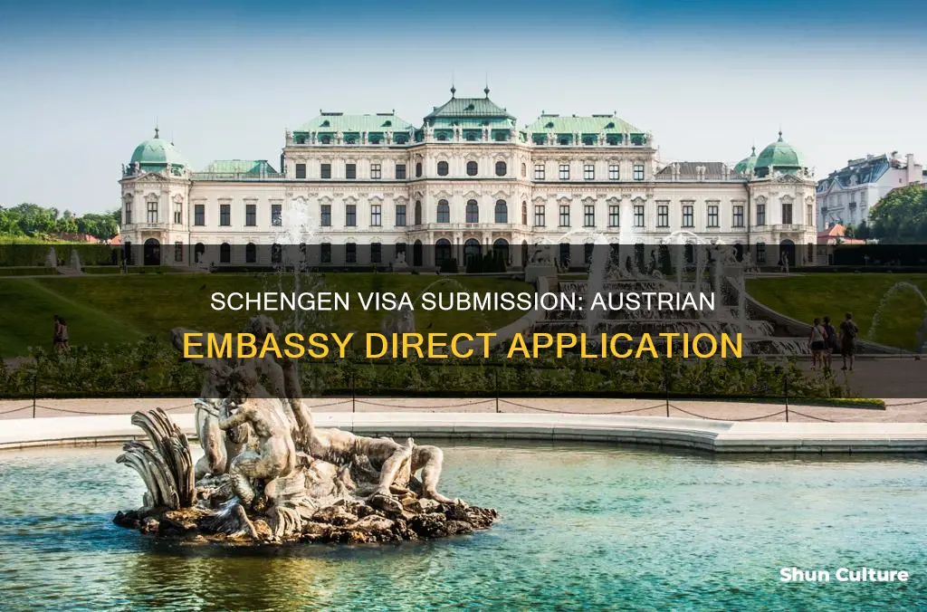 do I directly submit schengen visa in the austrian embassy