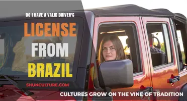 Validating Your Brazilian Driver's License Abroad: What You Need to Know