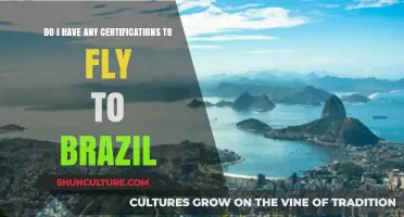 Traveling to Brazil: Required Certifications and Documents for Your Flight