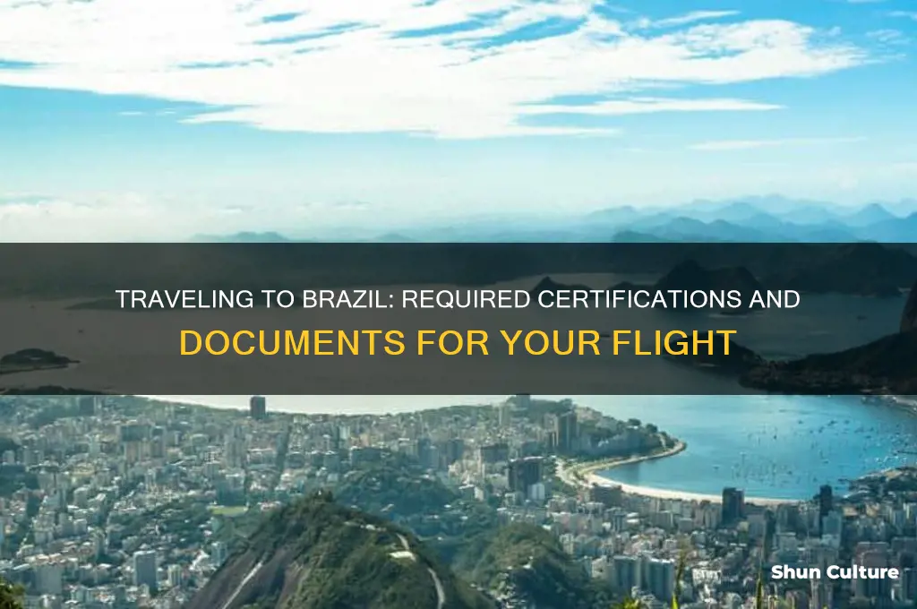 do I have any certifications to fly to brazil