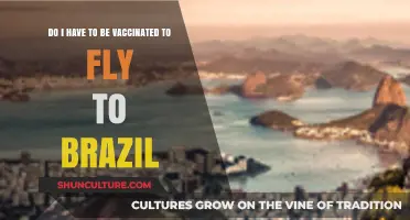 Traveling to Brazil: Vaccination Requirements for International Flights
