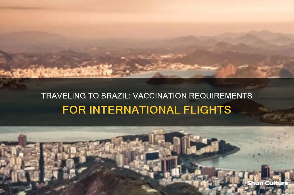 do I have to be vaccinated to fly to brazil