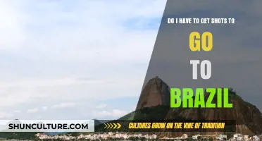 Traveling to Brazil: Essential Vaccinations and Health Tips for Visitors