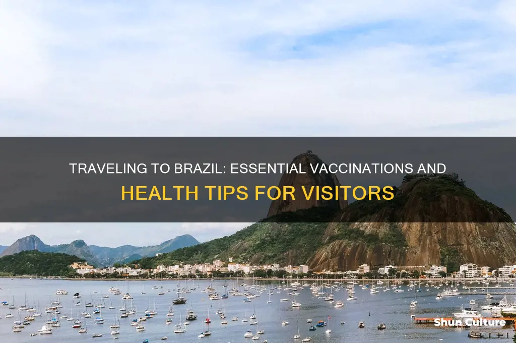 do I have to get shots to go to brazil