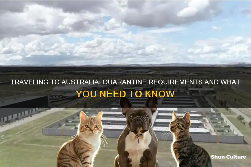 do I have to quarantine if I go to australia