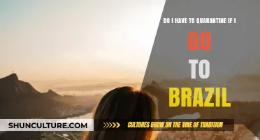 Traveling to Brazil: Quarantine Requirements and What You Need to Know