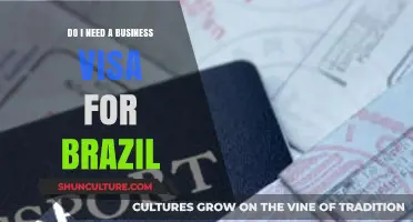 Business Visa for Brazil: Essential Requirements and Application Guide