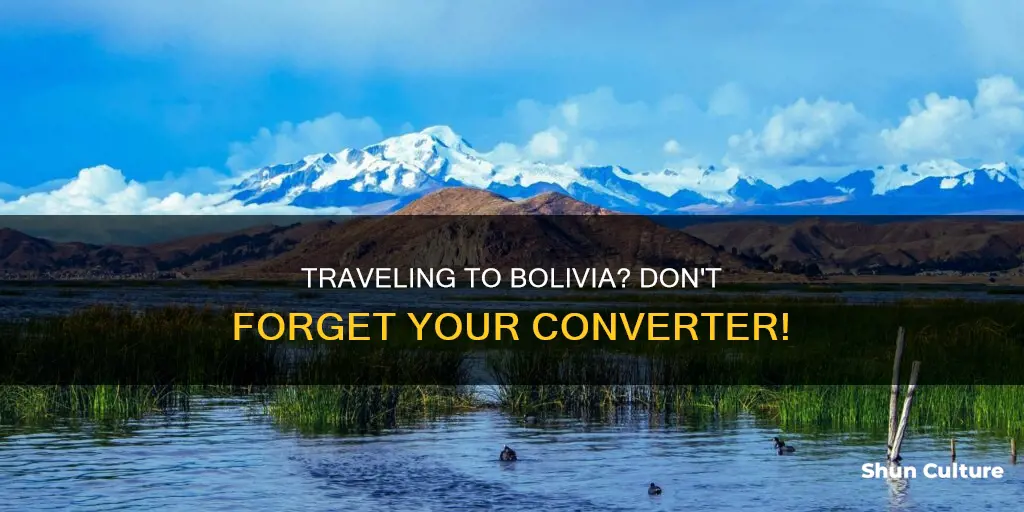 do I need a converter for bolivia