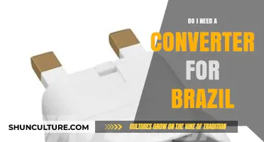 Traveling to Brazil: Do You Need a Voltage Converter or Adapter?