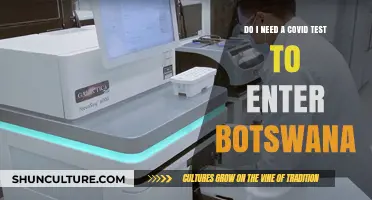 Traveling to Botswana: COVID-19 Testing Requirements Explained
