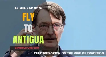 Flying to Antigua: COVID-19 Testing Requirements Explained
