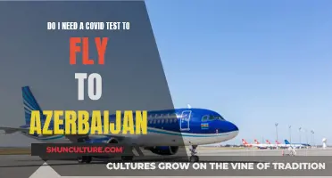 Covid Testing Requirements for Air Travel to Azerbaijan