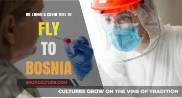 Flying to Bosnia: COVID-19 Testing Requirements Explained