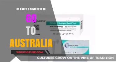 Traveling to Australia: COVID Test Requirements Explained for Visitors