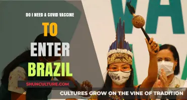COVID-19 Vaccine Requirements for Brazil Travel: What You Need to Know