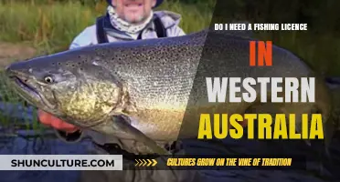 Fishing in Western Australia: Licence Requirements Explained