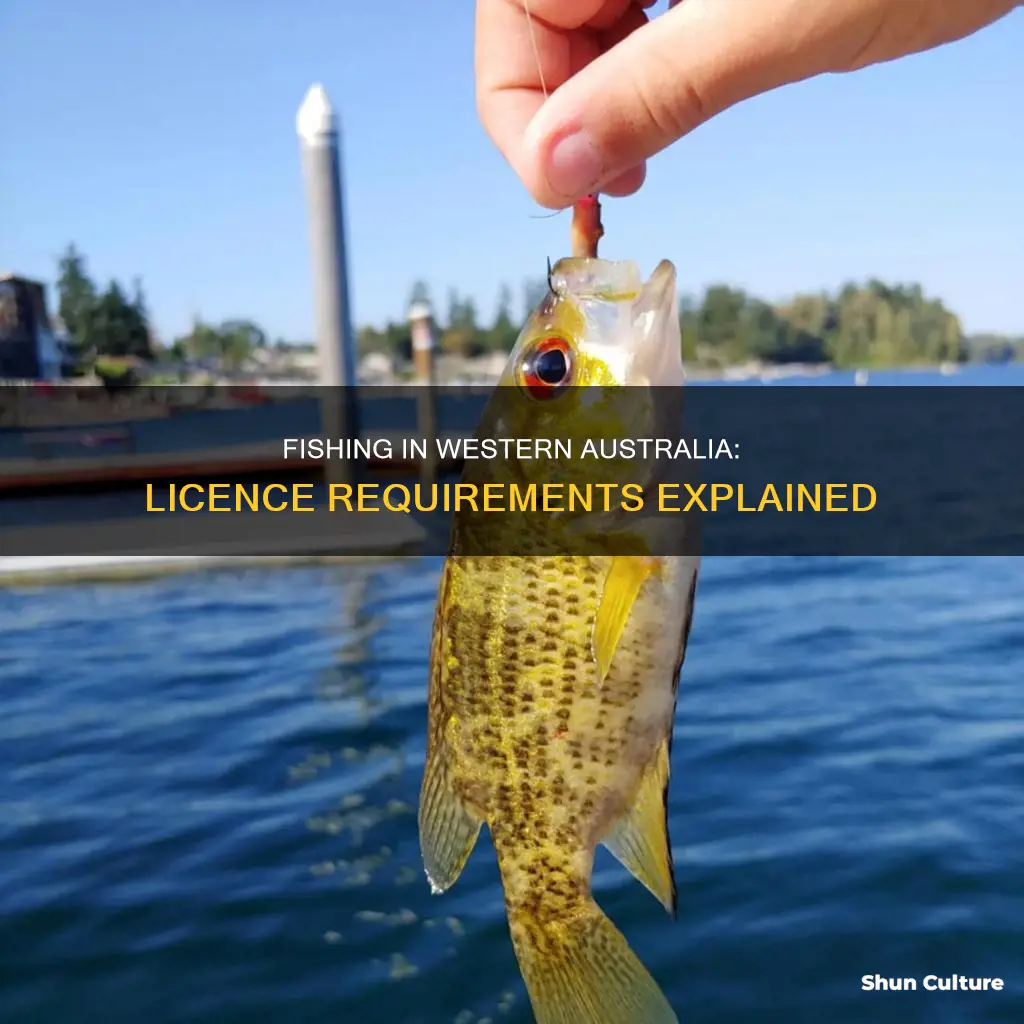 do I need a fishing licence in western australia