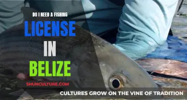 Belize Fishing: License Requirements and Exemptions