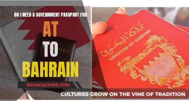 Travel to Bahrain: Do You Need a Government Passport?