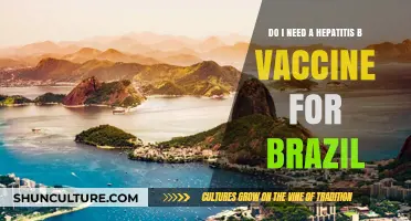 Hepatitis B Vaccine for Brazil Travel: Essential or Optional?