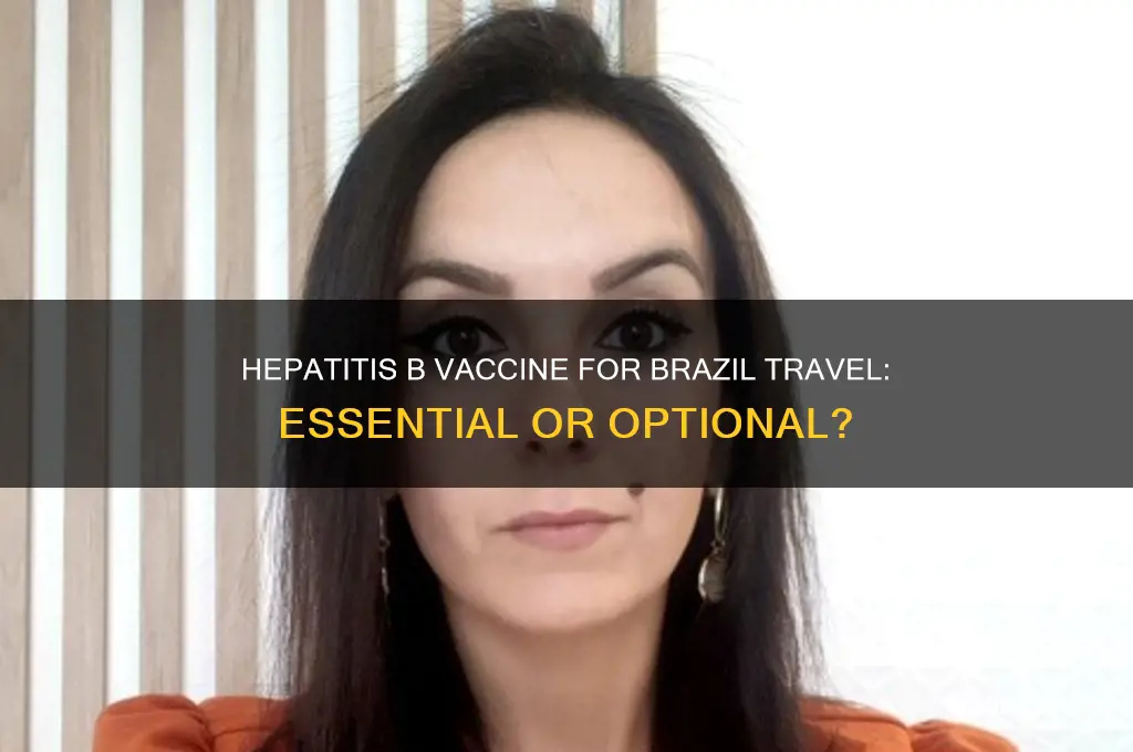 do I need a hepatitis b vaccine for brazil