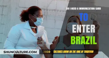 Traveling to Brazil: Immunization Card Requirements Explained for Visitors