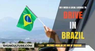 Driving in Brazil: Local License Requirements for Foreign Visitors Explained