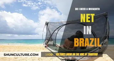 Mosquito Nets in Brazil: Essential or Optional for Travelers?