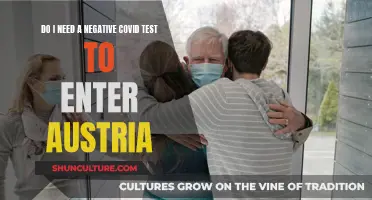 Traveling to Austria: Negative COVID Test Required?