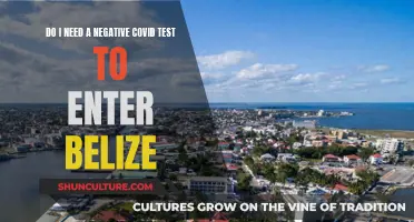 Belize Travel: Negative Covid Test Required?