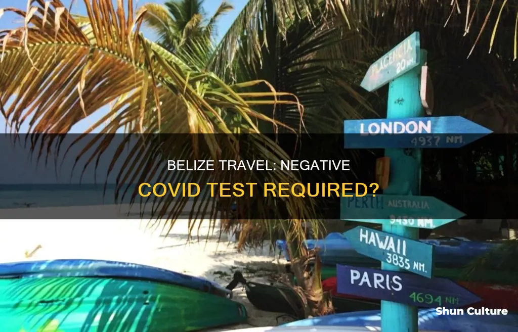 do I need a negative covid test to enter belize