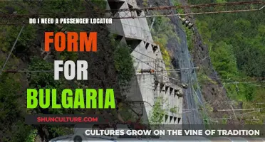Essential Travel Docs: Bulgaria Passenger Locator Form Guide