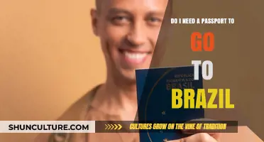 Traveling to Brazil: Passport Requirements and Essential Tips for Visitors