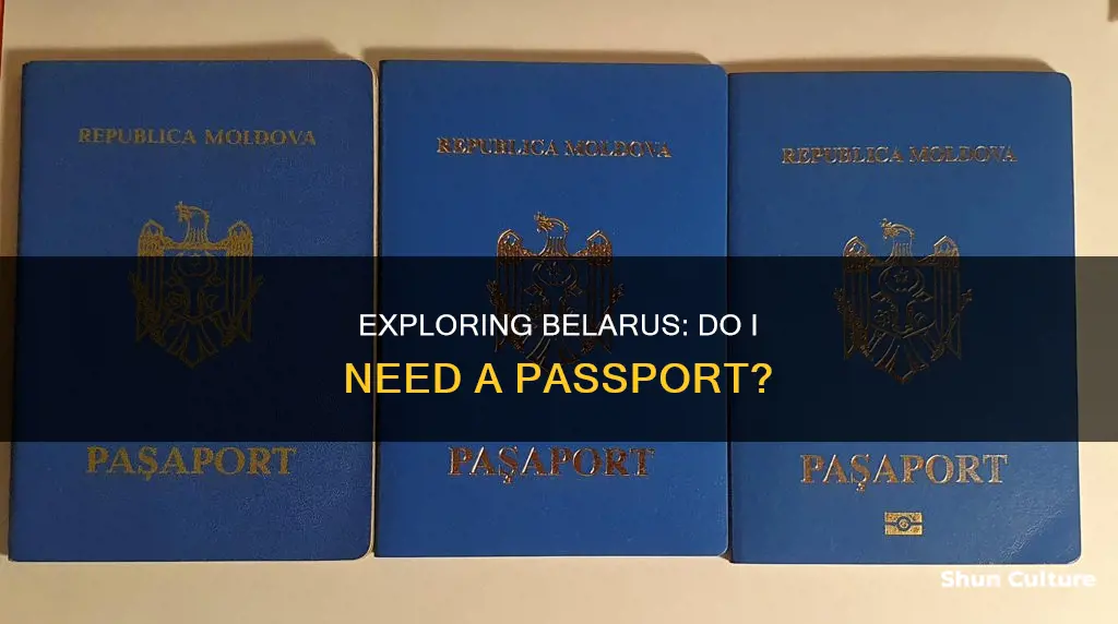 do I need a passport to visit belarus