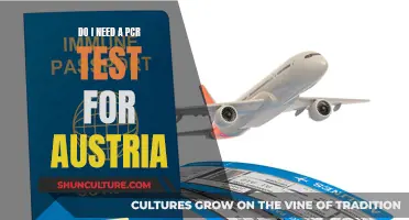 PCR Tests: Austria's Travel Requirements and Rules