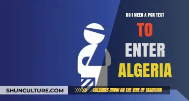 Traveling to Algeria: PCR Test Requirements and Entry Guidelines
