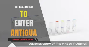 PCR Test Requirements for Antigua Entry: What Travelers Need to Know
