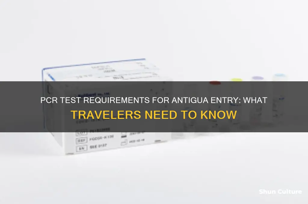 do I need a pcr test to enter antigua