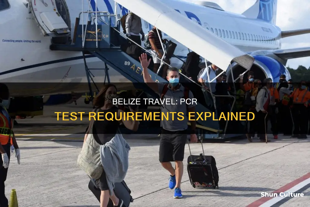 do I need a pcr test to enter belize