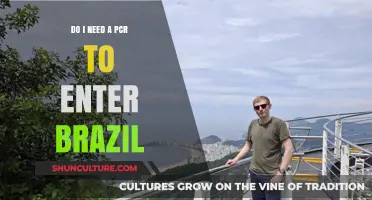 Traveling to Brazil: PCR Test Requirements and Entry Guidelines