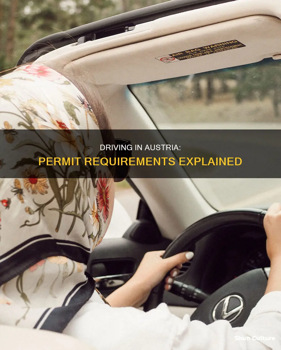 do I need a permit to drive in austria